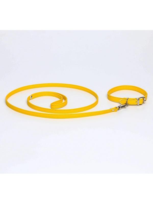 Комплект ошейник (26-34х1.4 см) и поводок (120х1 см) из экокожи, жёлтый