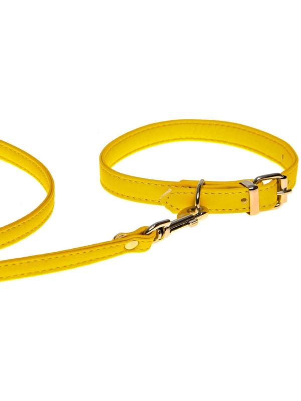 Комплект ошейник (26-34х1.4 см) и поводок (120х1 см) из экокожи, жёлтый
