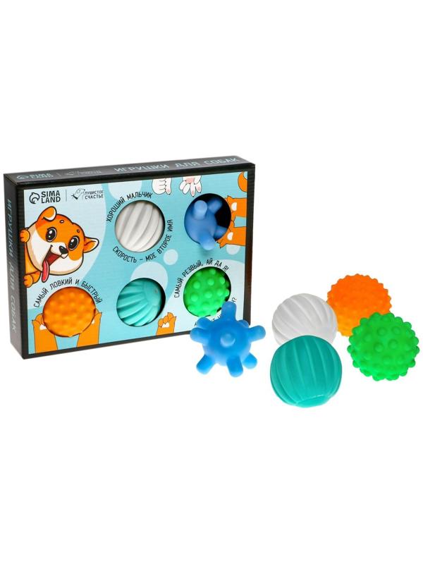 Набор мячей для собак «Самый ловкий, самый быстрый», 5 шт.