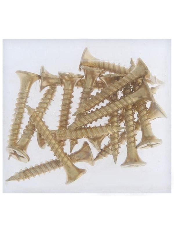 Петля-бабочка ТУНДРА, 100х70х2.0 мм, универсальная, без врезки, цвет золото, 2 шт.