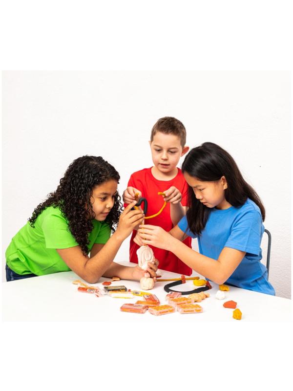 Пластилин на растительной основе, 6 цветов, 90 г, JOVI, телесная палитра, европодвес, ДЛЯ МАЛЫШЕЙ