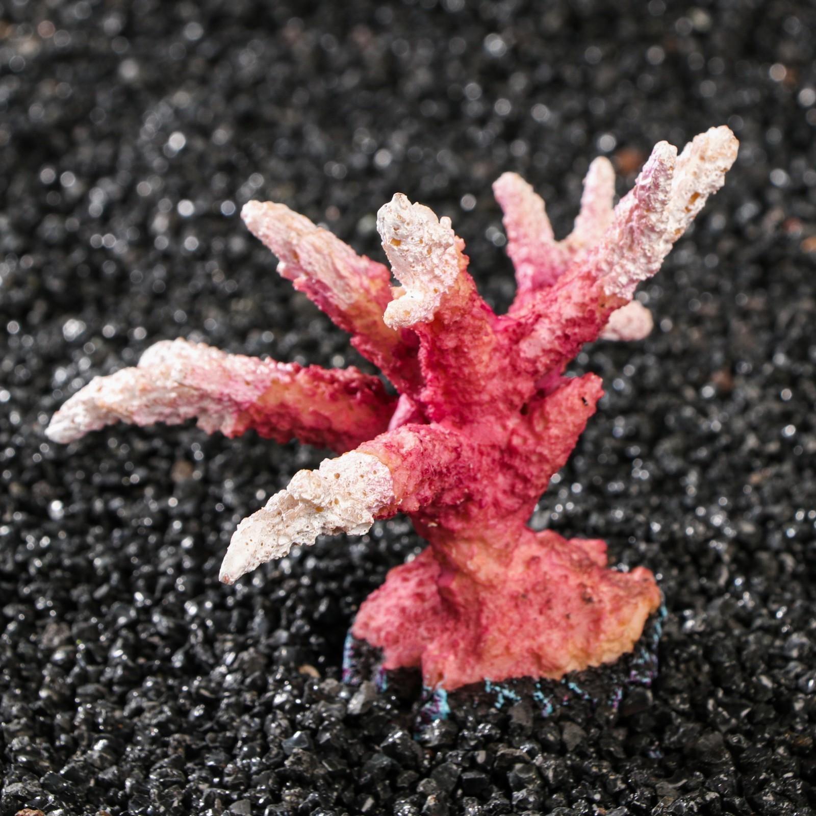 Декоративный коралл 