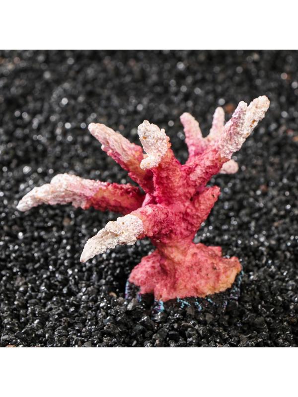 Декоративный коралл 