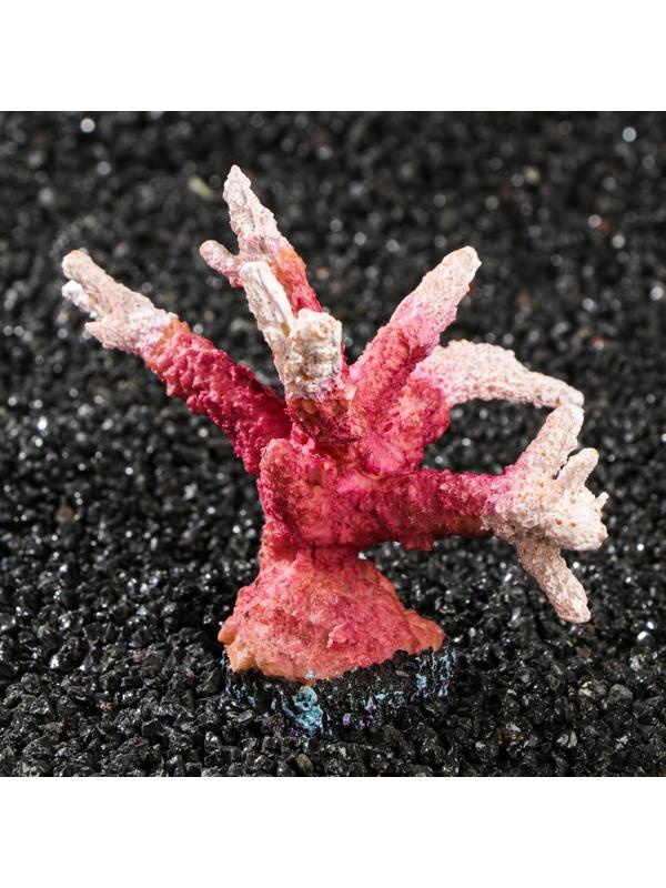 Декоративный коралл 