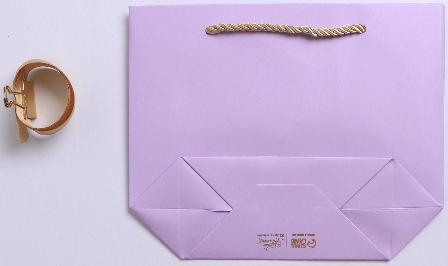 Пакет подарочный «Настроение», 21 х 17 х 7 см