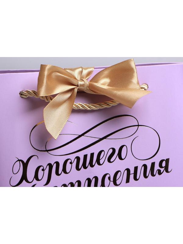 Пакет подарочный «Настроение», 21 х 17 х 7 см