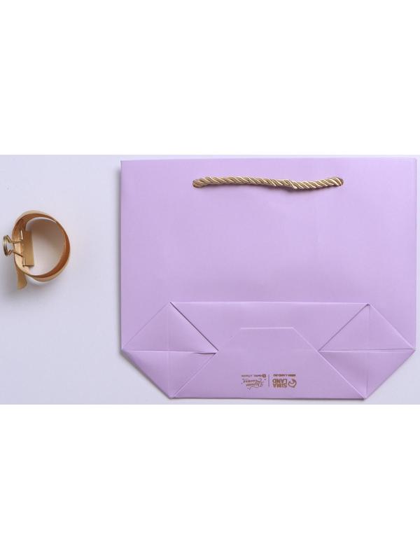 Пакет подарочный «Настроение», 21 х 17 х 7 см