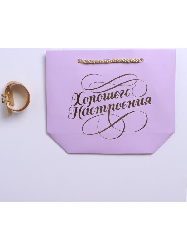 Пакет подарочный «Настроение», 21 х 17 х 7 см