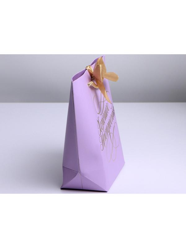 Пакет подарочный «Настроение», 21 х 17 х 7 см