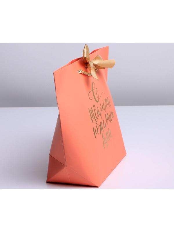 Пакет подарочный «С тёплыми пожеланиями», 28 х 20 х 9 см