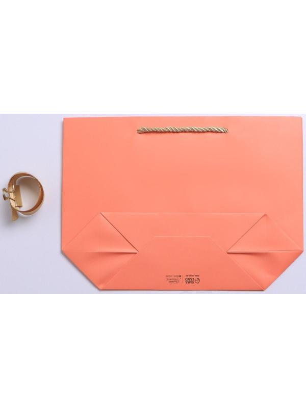 Пакет подарочный «С тёплыми пожеланиями», 28 х 20 х 9 см