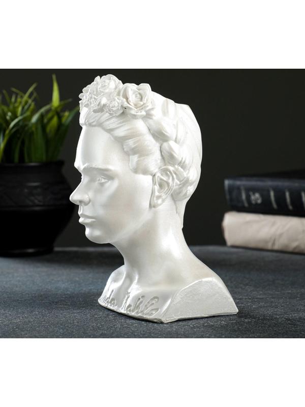 Кашпо - органайзер 