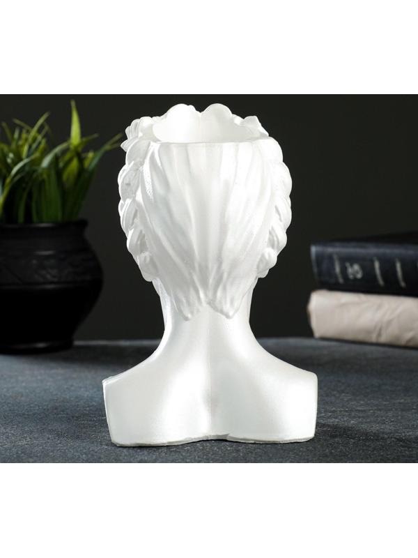 Кашпо - органайзер 