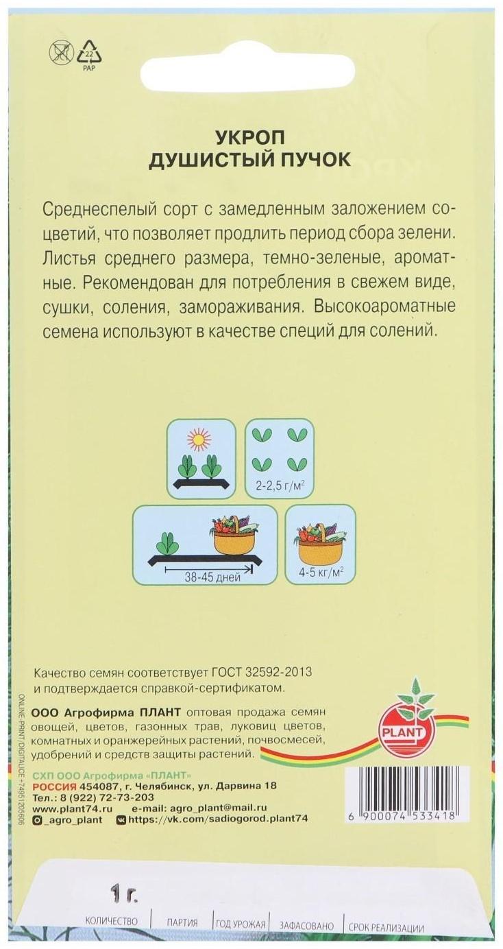 Семена Укроп 