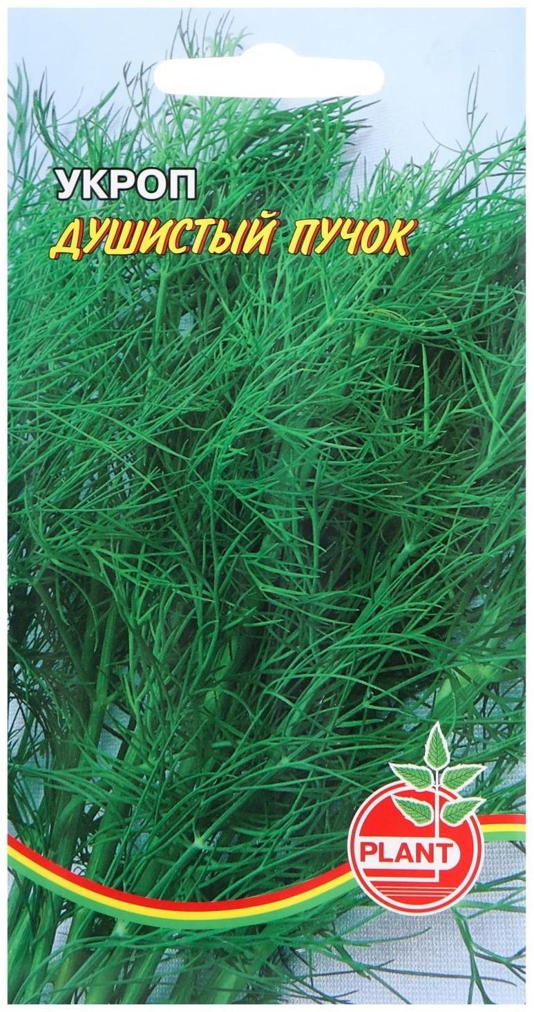 Семена Укроп 