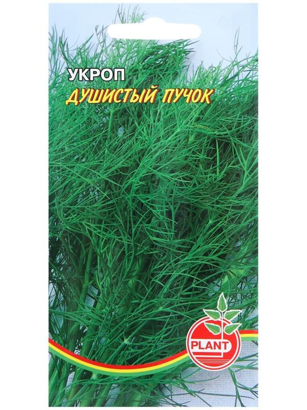 Семена Укроп 