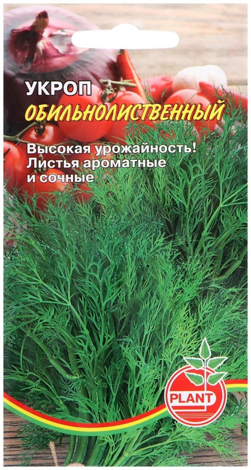 Семена Укроп 