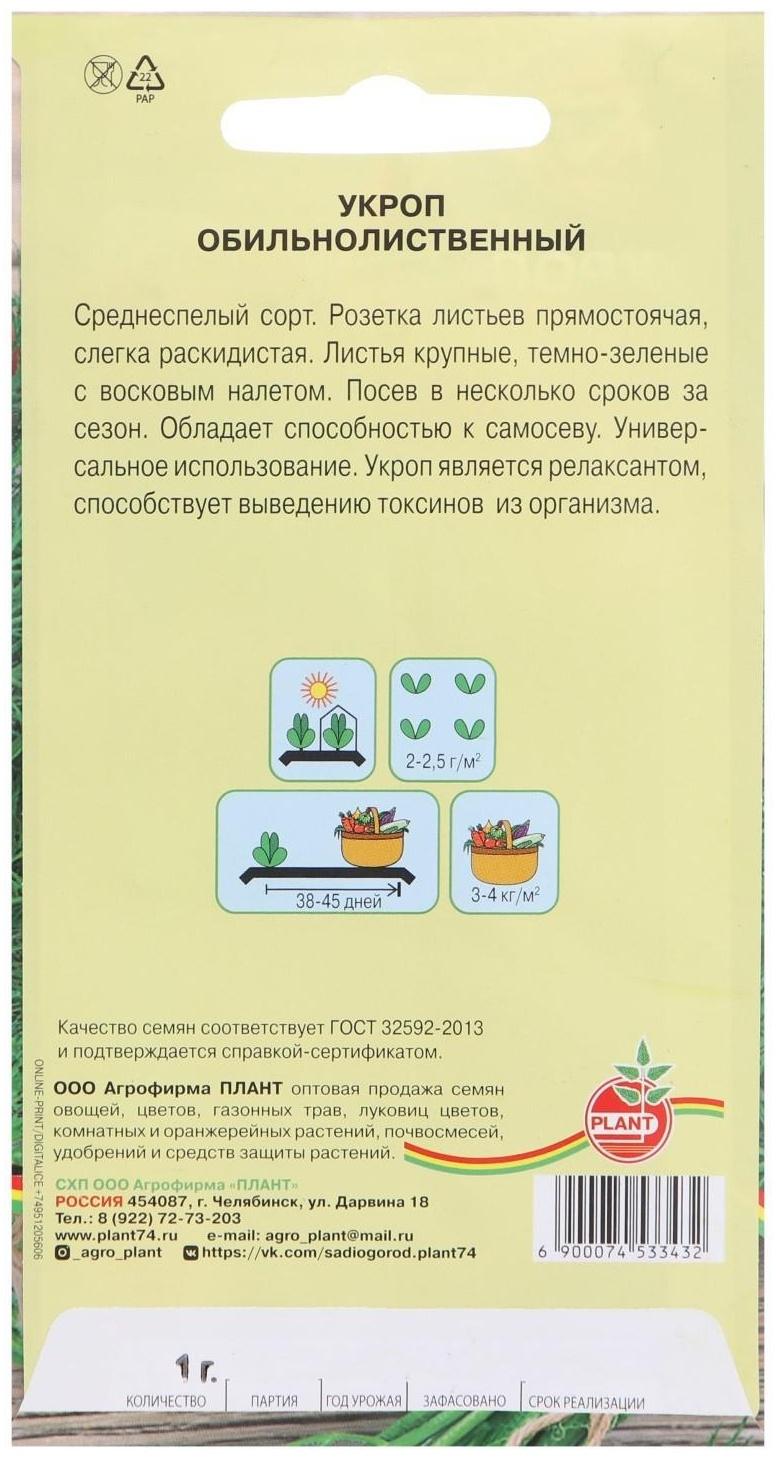 Семена Укроп 