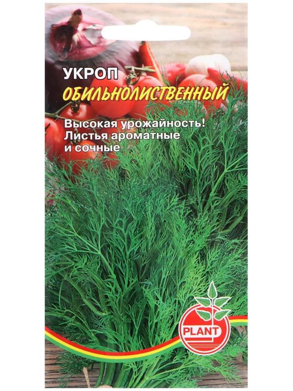 Семена Укроп 