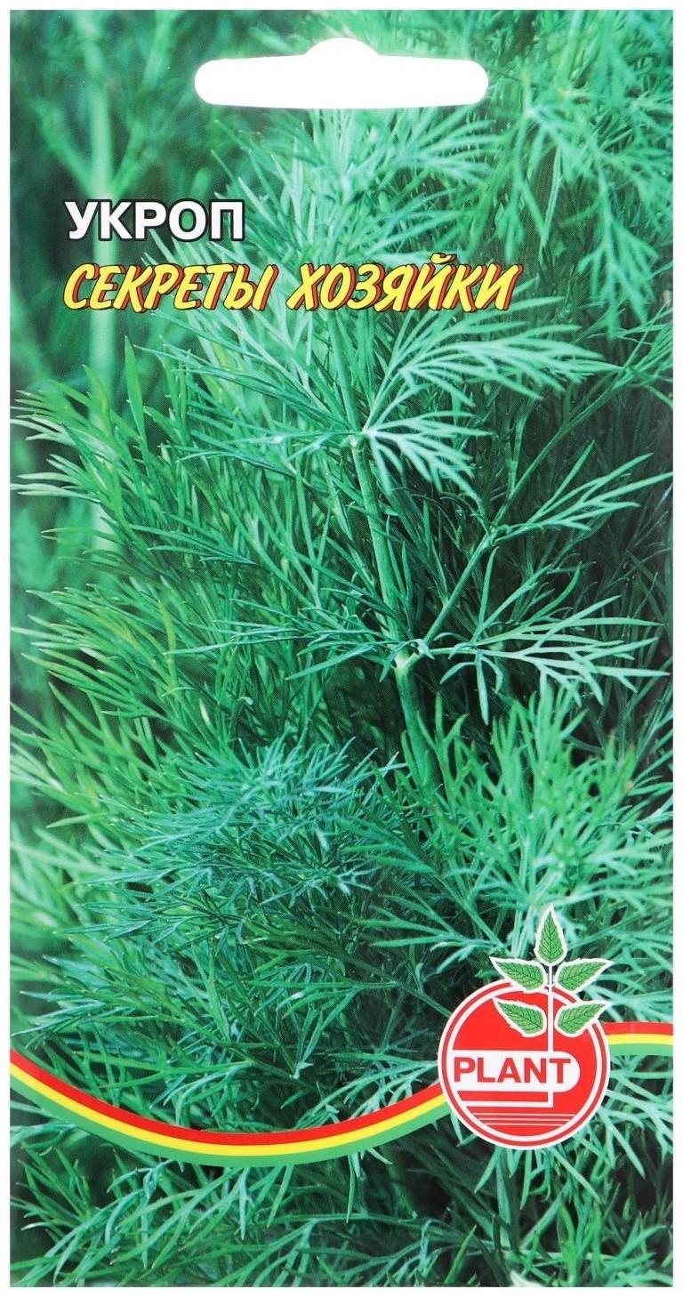 Семена Укроп 