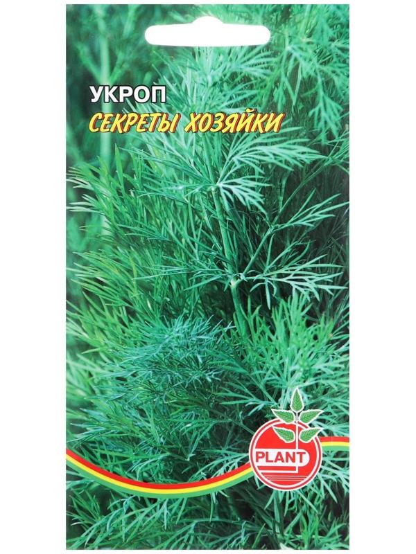 Семена Укроп 