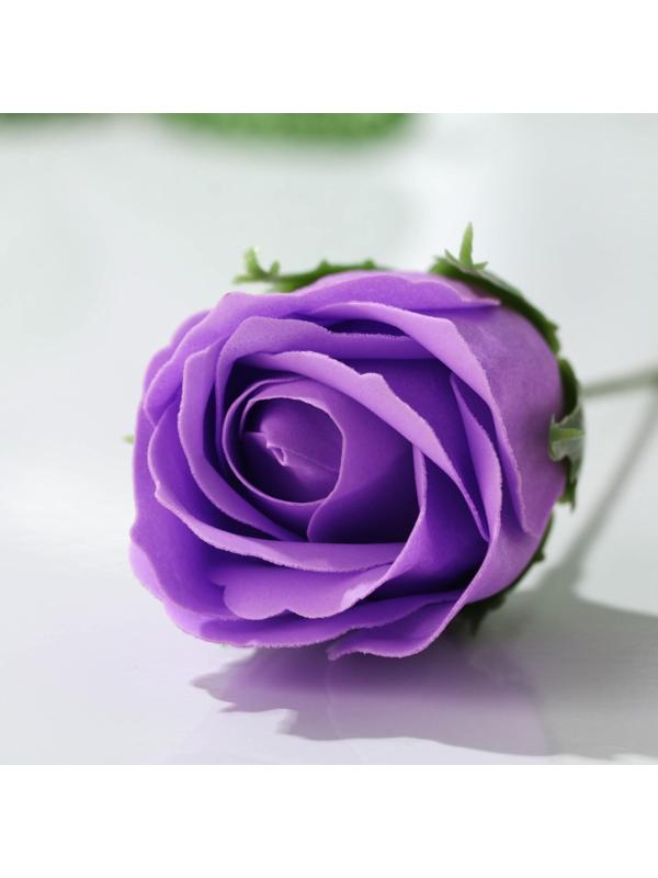 Мыльный цветок «Яркой весны»