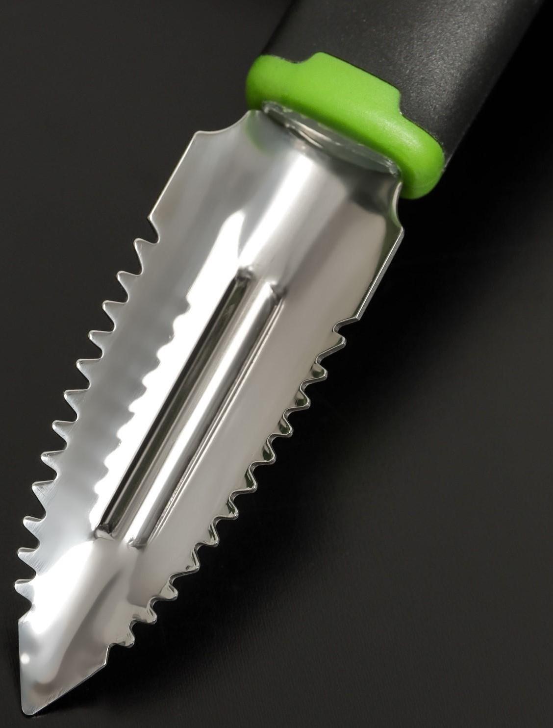 Рыбочистка Доляна Lime, 19×2,5 см, цвет чёрно-зелёный