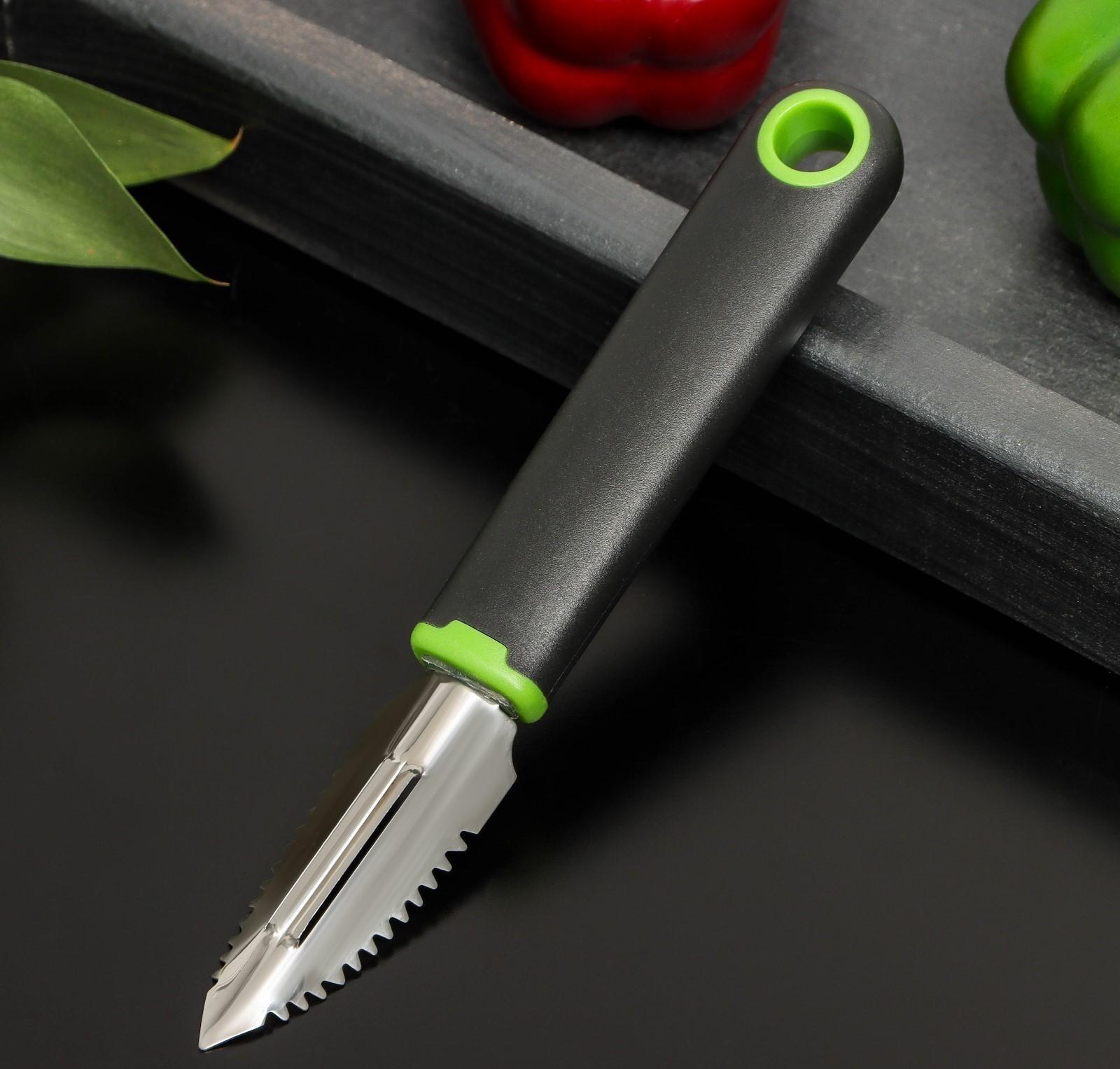 Рыбочистка Доляна Lime, 19×2,5 см, цвет чёрно-зелёный