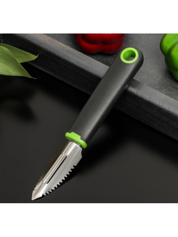 Рыбочистка Доляна Lime, 19×2,5 см, цвет чёрно-зелёный