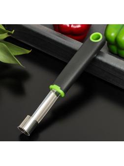 Нож для удаления сердцевины Доляна Lime, 20×2 см, цвет чёрно-зелёный