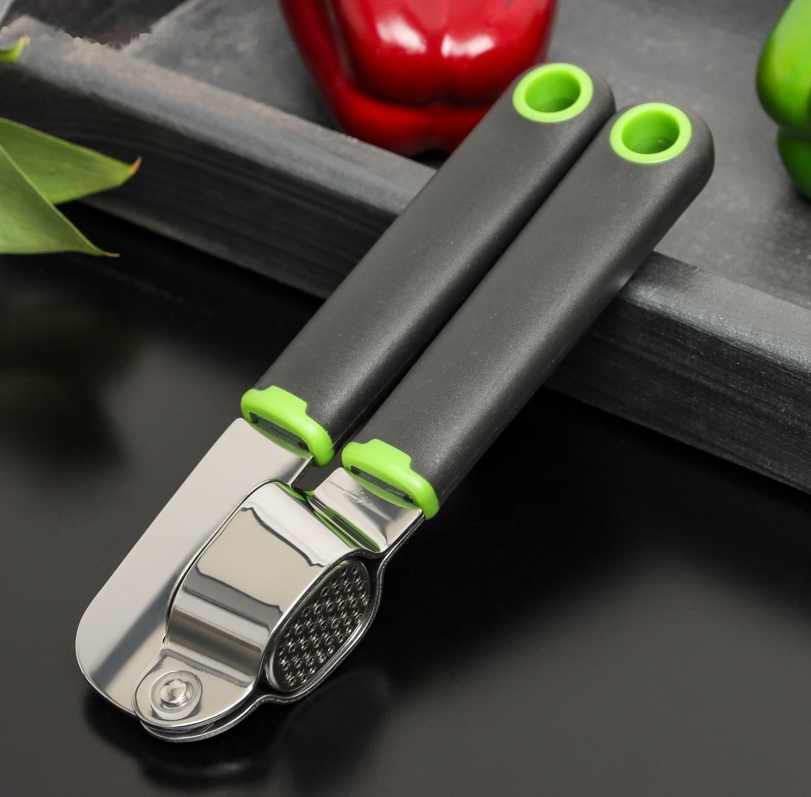 Пресс для чеснока Доляна Lime, 19×5,5 см, цвет чёрно-зелёный