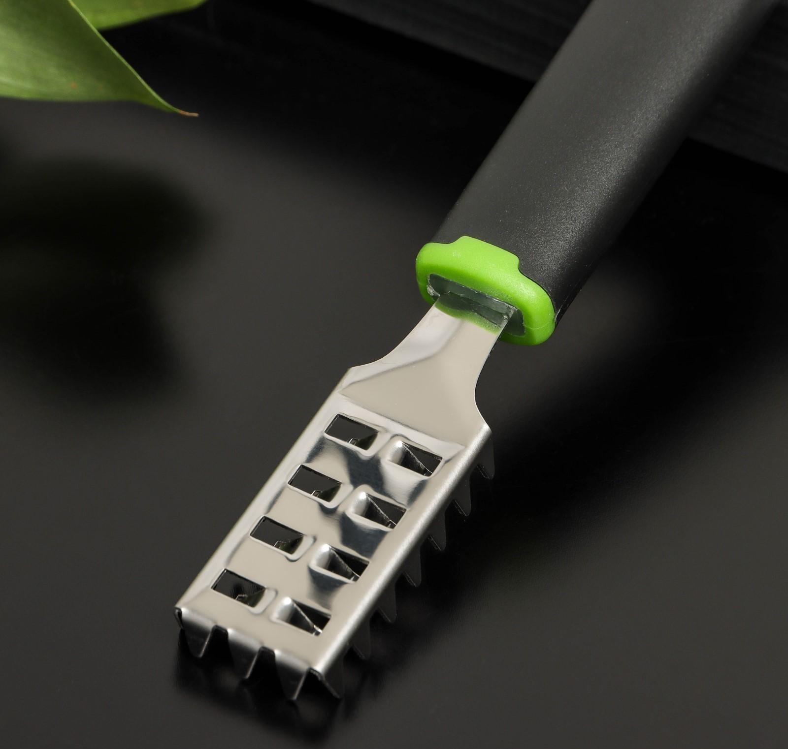 Рыбочистка Доляна Lime, 18,5×3 см, цвет чёрно-зелёный