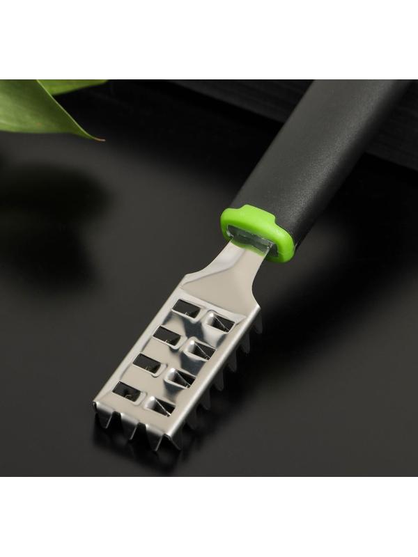Рыбочистка Доляна Lime, 18,5×3 см, цвет чёрно-зелёный