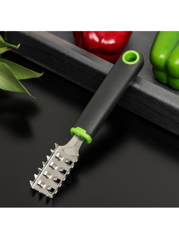 Рыбочистка Доляна Lime, 18,5×3 см, цвет чёрно-зелёный