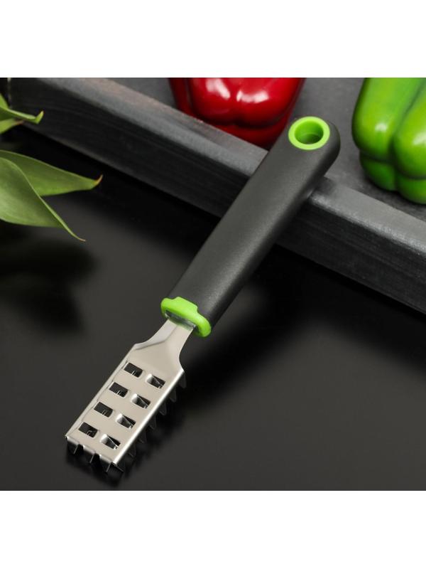 Рыбочистка Доляна Lime, 18,5×3 см, цвет чёрно-зелёный