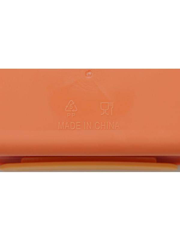 Ланч-бокс пластиковый «Классика», 2 отделения, 18×18×6 см, цвет МИКС