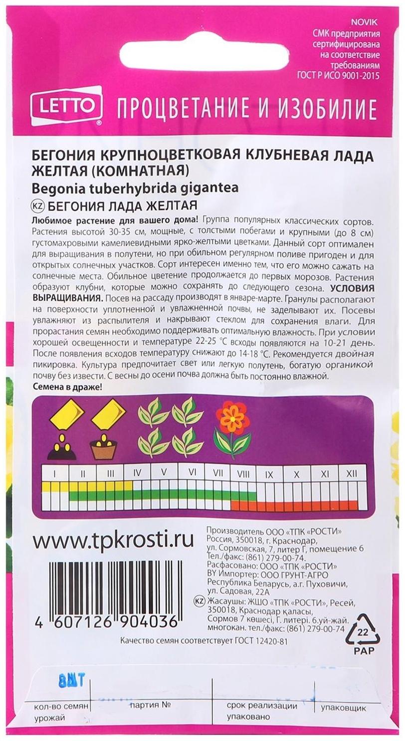 Семена цветов бегония 