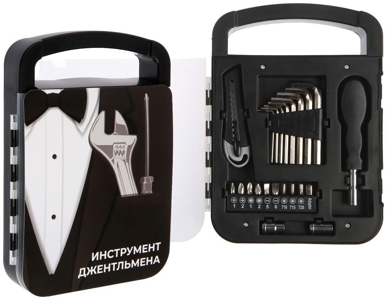 Набор инструментов ТУНДРА, подарочный пластиковый кейс, 22 предмета