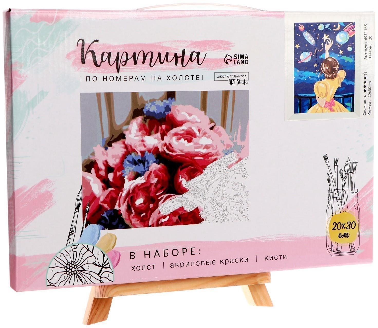 Картина по номерам на холсте с подрамником «Ночное небо» 20х30 см