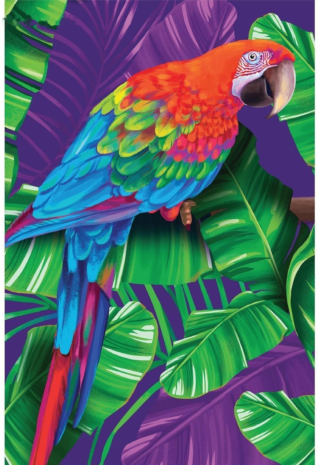 Картина по номерам на холсте с подрамником «Попугай» 20х30 см
