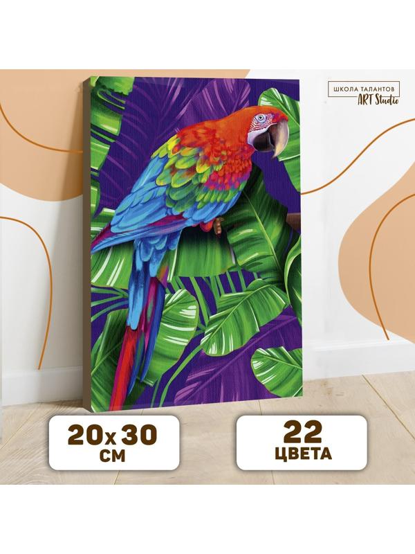Картина по номерам на холсте с подрамником «Попугай» 20х30 см