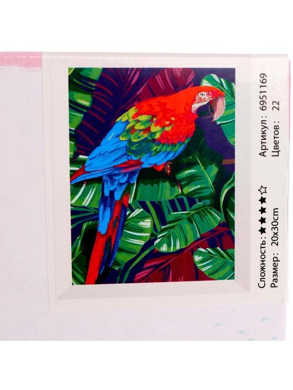 Картина по номерам на холсте с подрамником «Попугай» 20х30 см