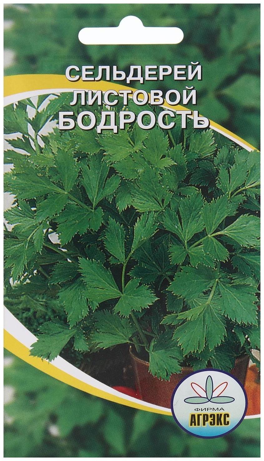 Семена Сельдерей листовой 