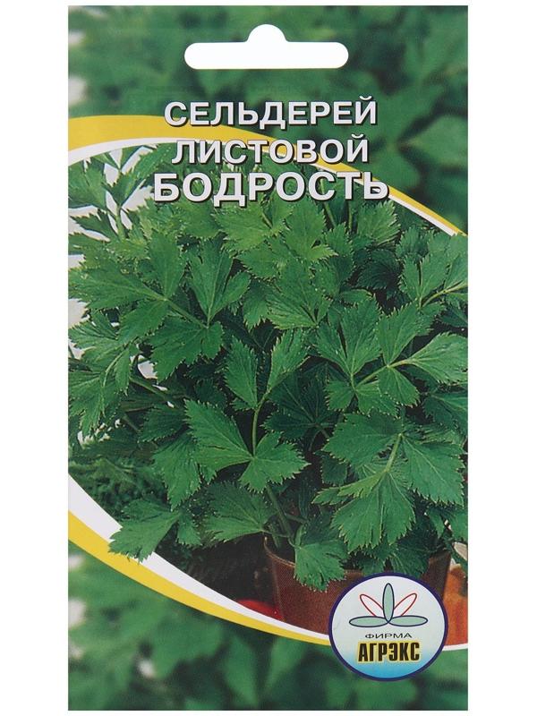 Семена Сельдерей листовой 