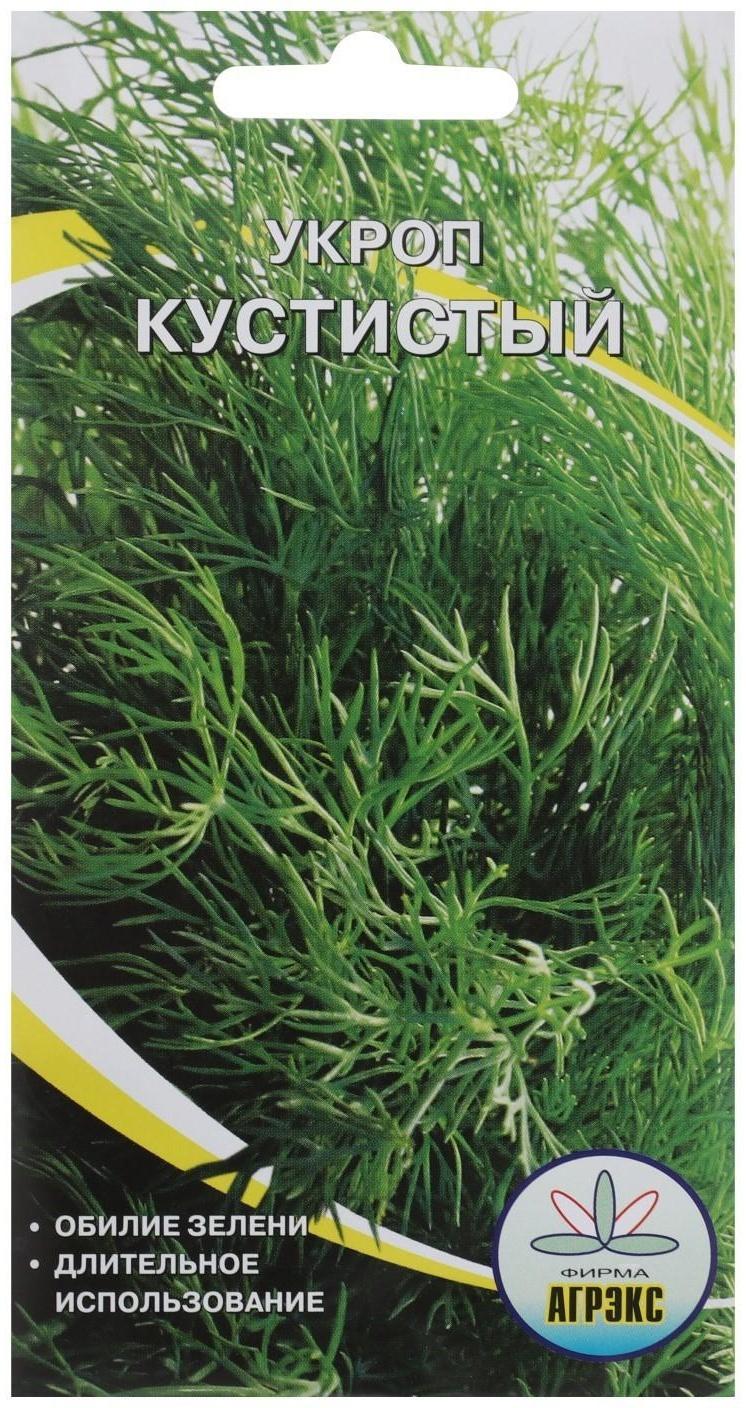 Семена Укроп 