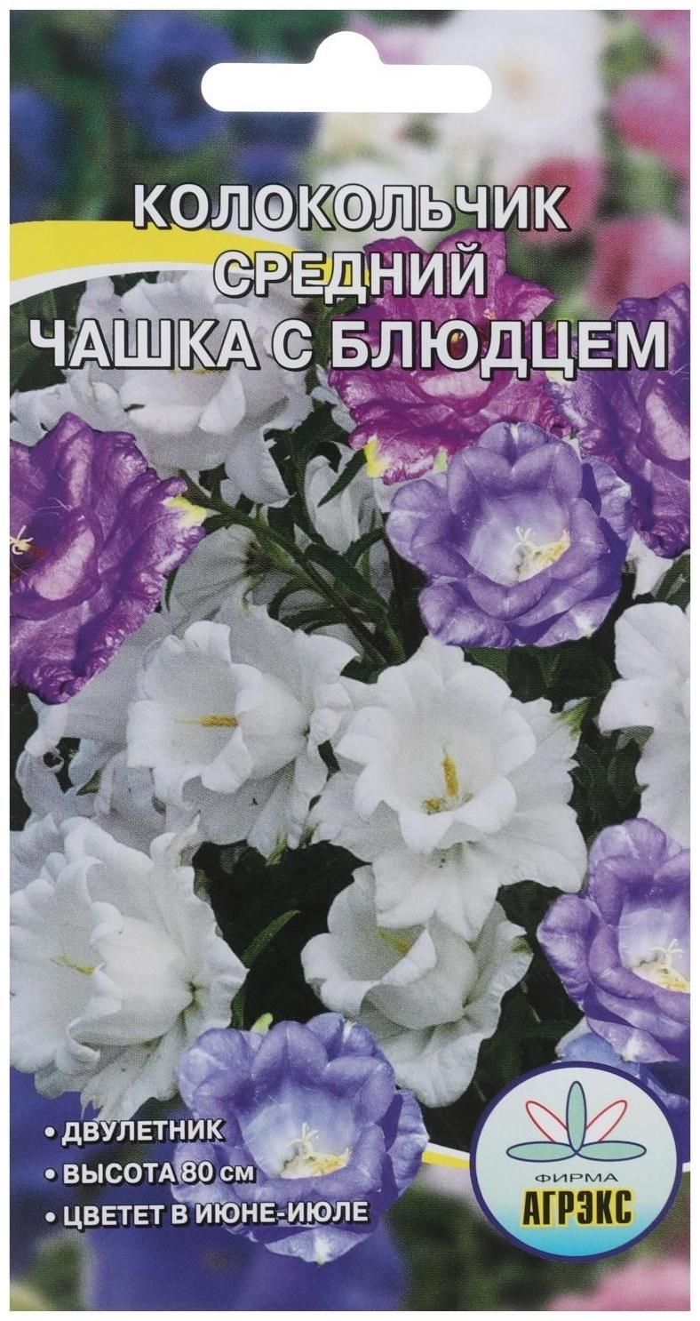 Семена Цветов Колокольчик 