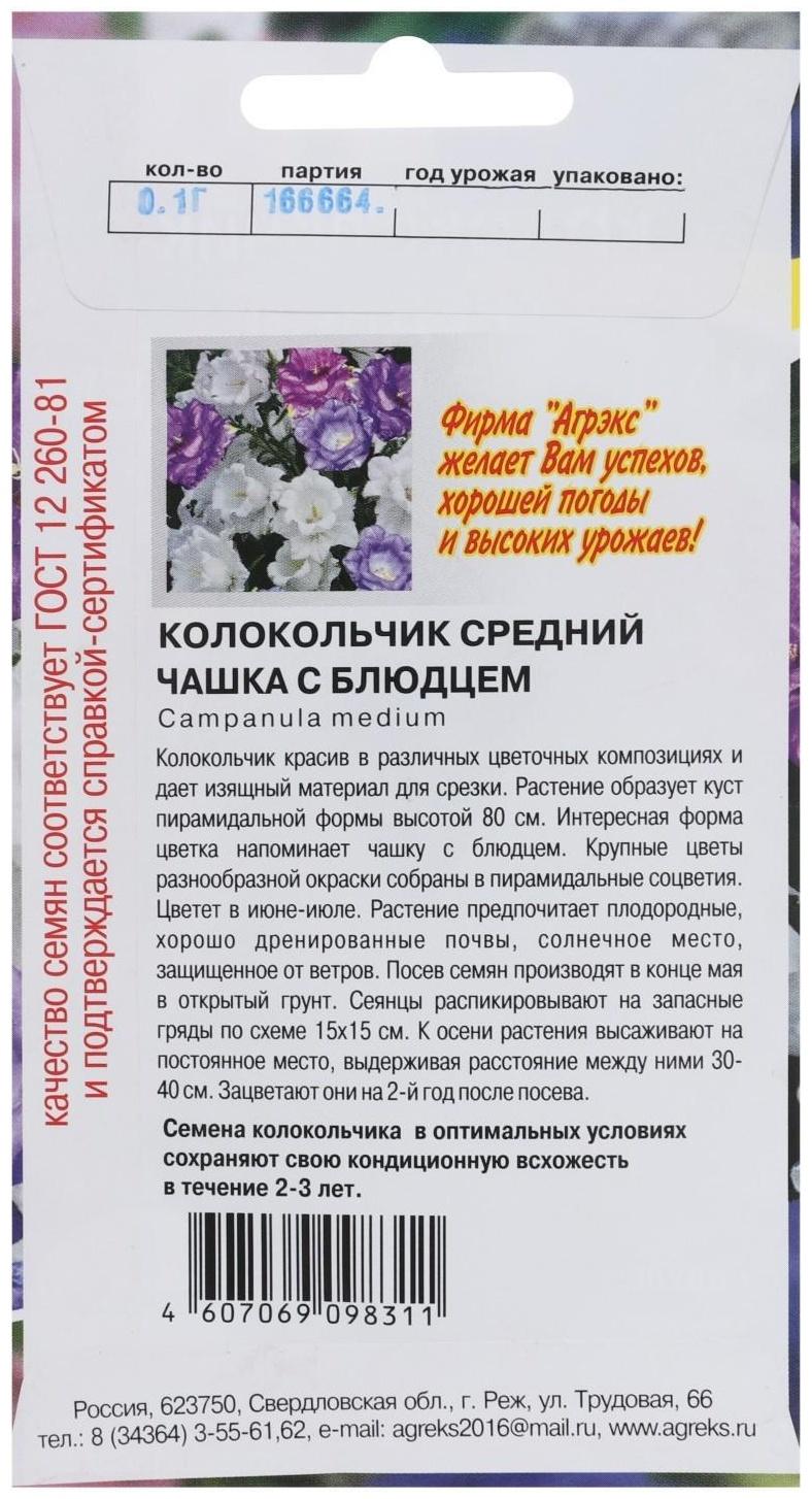 Семена Цветов Колокольчик 