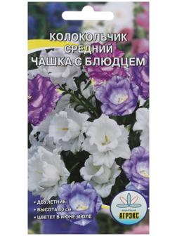 Семена Цветов Колокольчик 