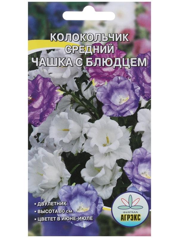 Семена Цветов Колокольчик 