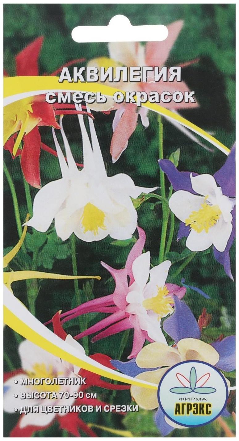 Семена цветов Аквилегия 